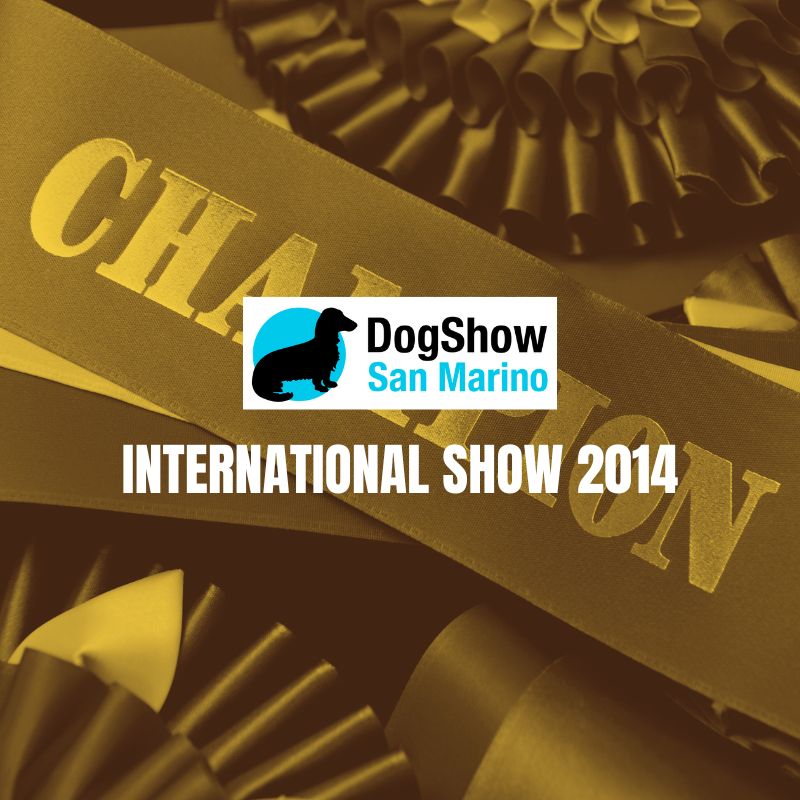 LinwoodGoldenRetrievers News Risultati DogShowSanMarino 2014 anteprimaOK