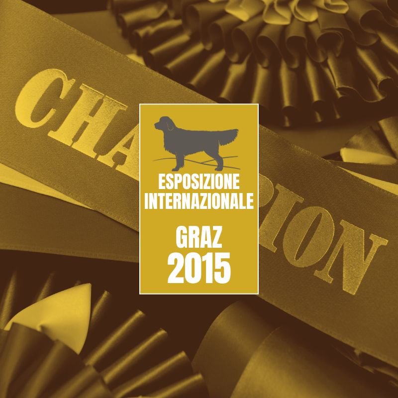 LinwoodGoldenRetrievers News Risultati Graz2015 anteprimaOK