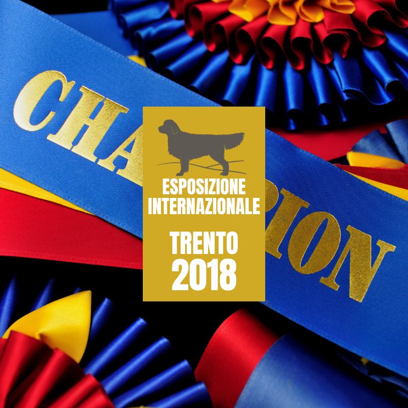LinwoodGoldenRetrievers News Risultati Trento2018 anteprimaOK
