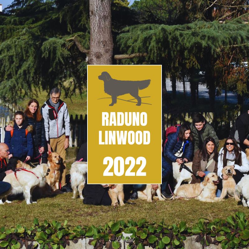 LinwoodGoldenRetrievers News Eventi RadunoLinwood2022 anteprima