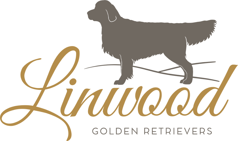 Linwood Golden Retrievers