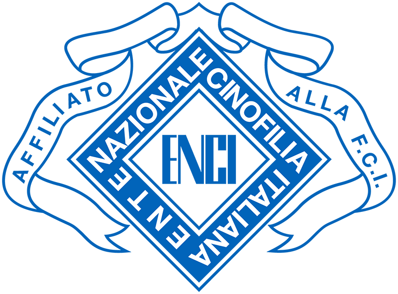 enci seeklogo