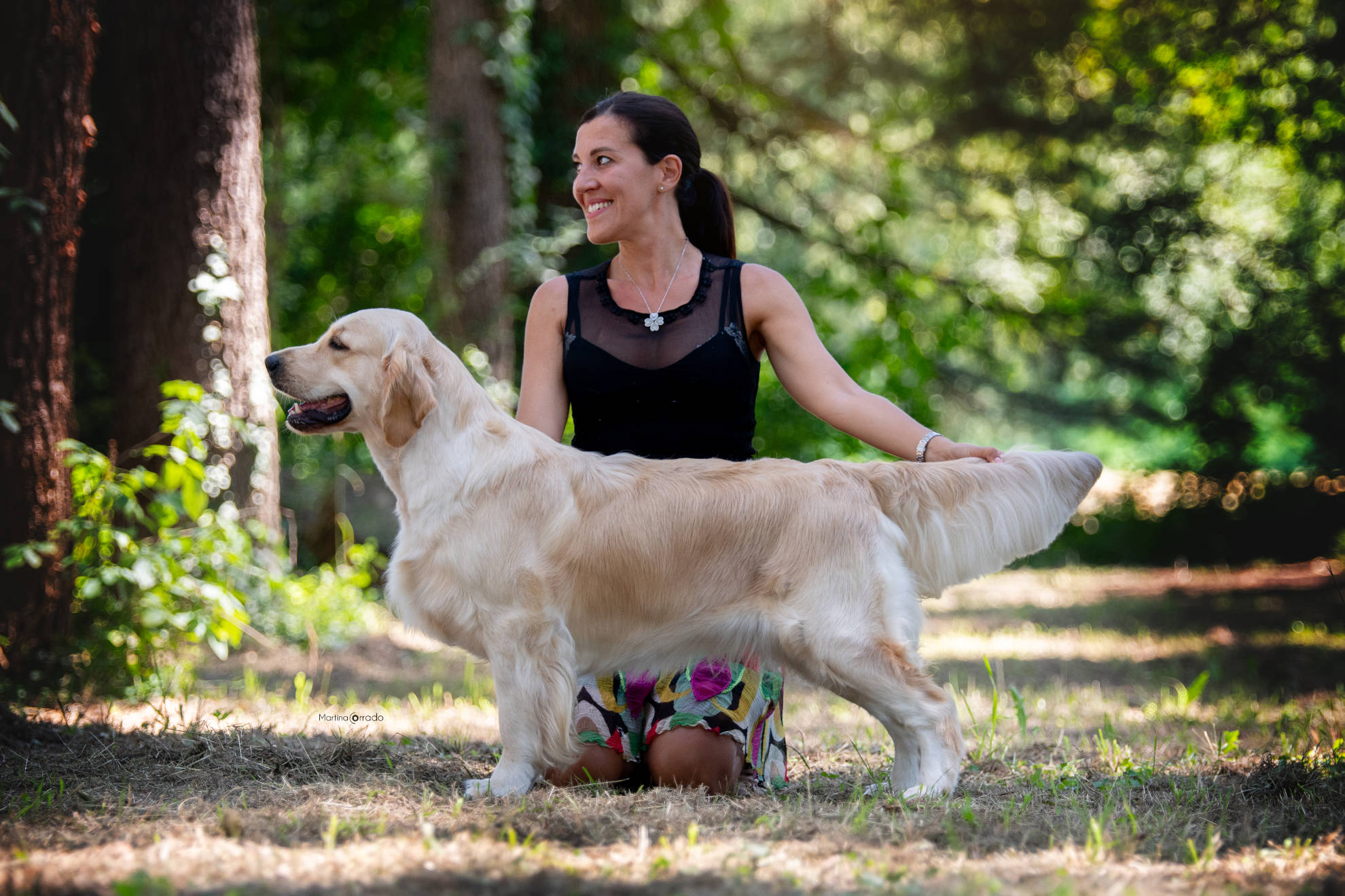 Linwood Golden Retriever_Olvinglay Faloria - 1 Linwood Golden Retriever - Olvinglay Faloria