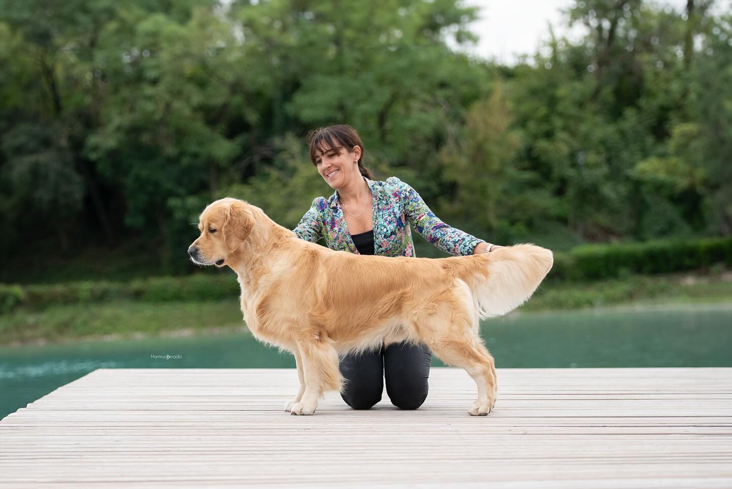 LinwoodGoldenRetrievers_News-Risultati-EsposizioneTreviso2024 - imgpost02 LinwoodGoldenRetrievers News Risultati EsposizioneTreviso2024 imgpost02