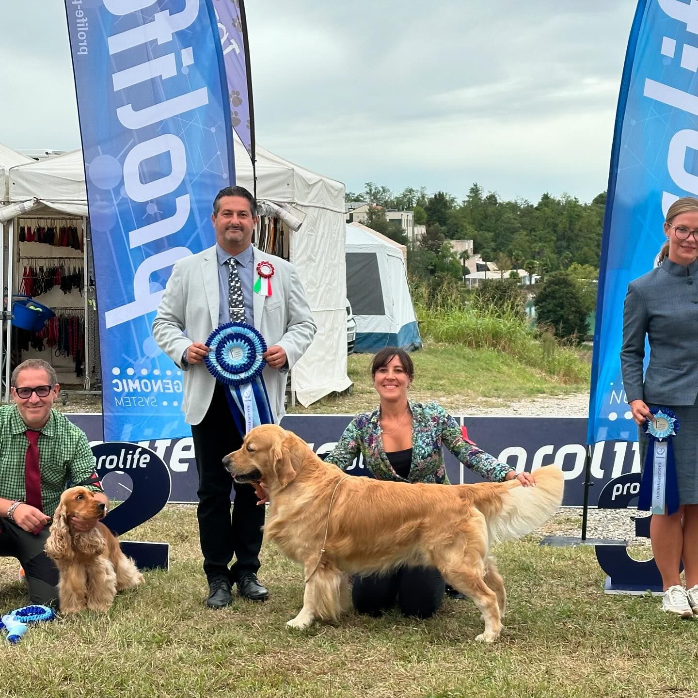 LinwoodGoldenRetrievers_News-Risultati-EsposizioneTreviso2024 - imgpost03 LinwoodGoldenRetrievers News Risultati EsposizioneTreviso2024 imgpost03