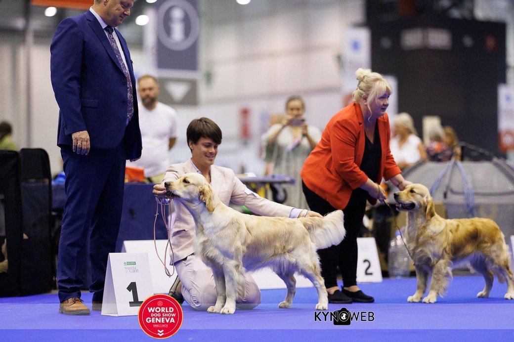 LinwoodGoldenRetrievers_News-Risultati-Ginevra 2023 - 01 LinwoodGoldenRetrievers News Risultati Ginevra 2023 01