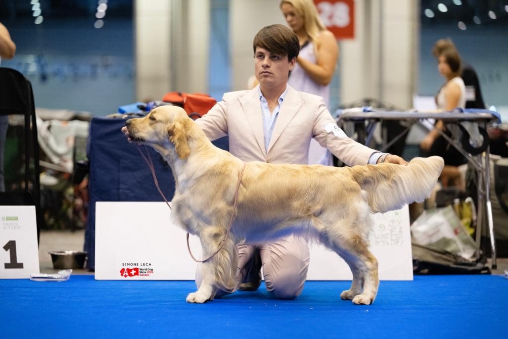 LinwoodGoldenRetrievers_News-Risultati-Ginevra 2023 - 02 LinwoodGoldenRetrievers News Risultati Ginevra 2023 02