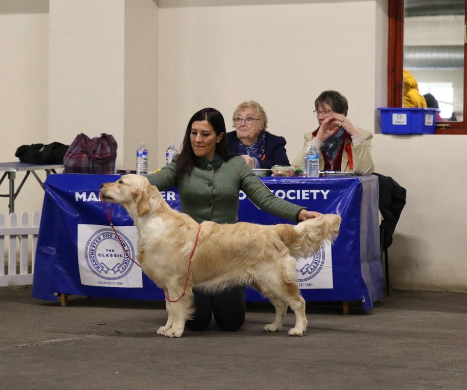LinwoodGoldenRetrievers_News-Risultati-Manchetser 2023 - 01 LinwoodGoldenRetrievers News Risultati Manchetser 2023 01