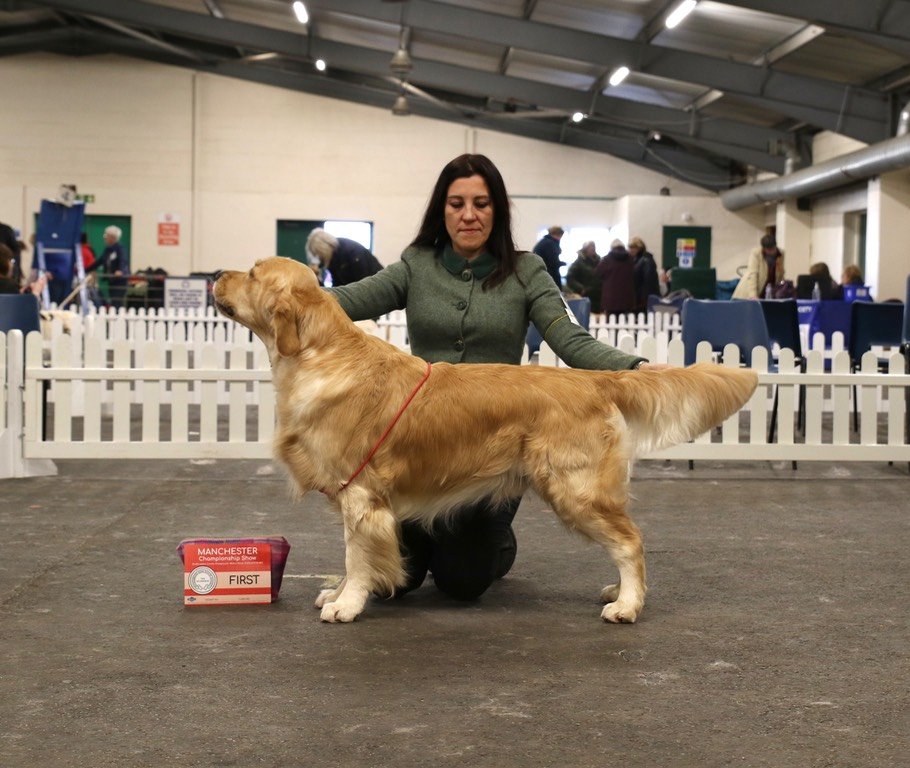 LinwoodGoldenRetrievers_News-Risultati-Manchetser 2023 - 02 LinwoodGoldenRetrievers News Risultati Manchetser 2023 02