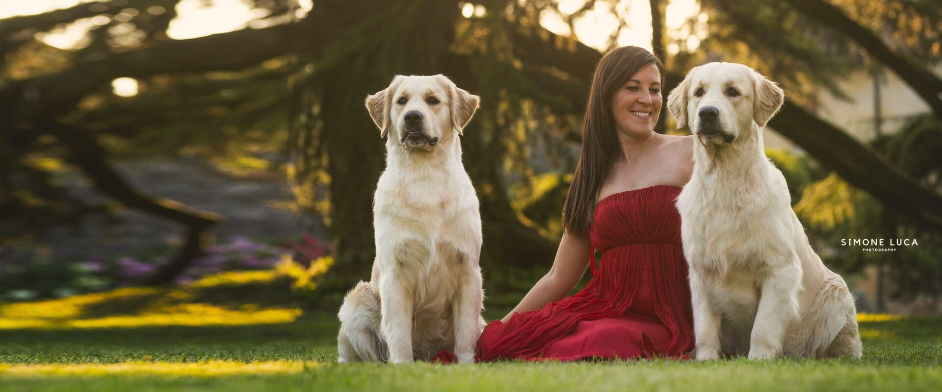 Linwood Golden Retrievers Allevamento Header