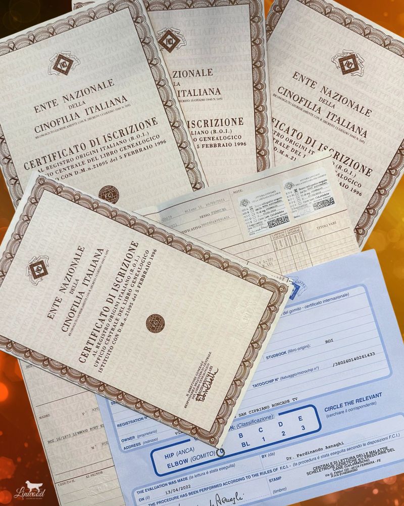 Linwood Golden Retrievers_Allevamento_IntroSezione-Certificazioni-e-Controlli Allevamento Linwood Golden Retrievers