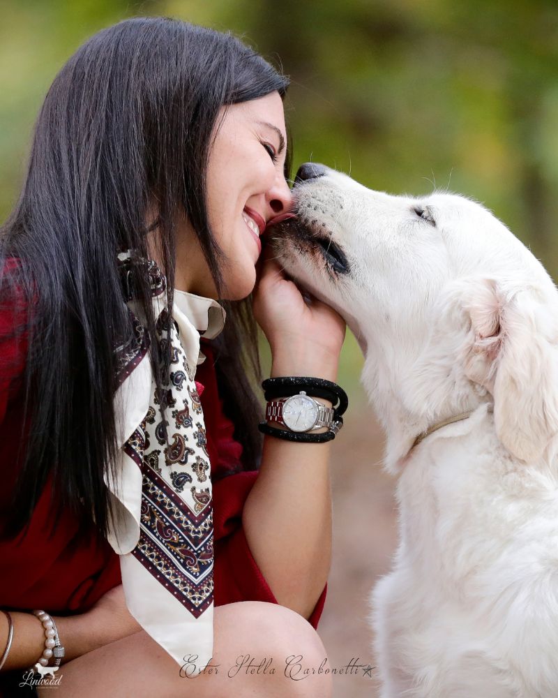 Linwood Golden Retrievers_Allevamento_IntroSezione-LaNostraPassione Allevamento Linwood Golden Retrievers