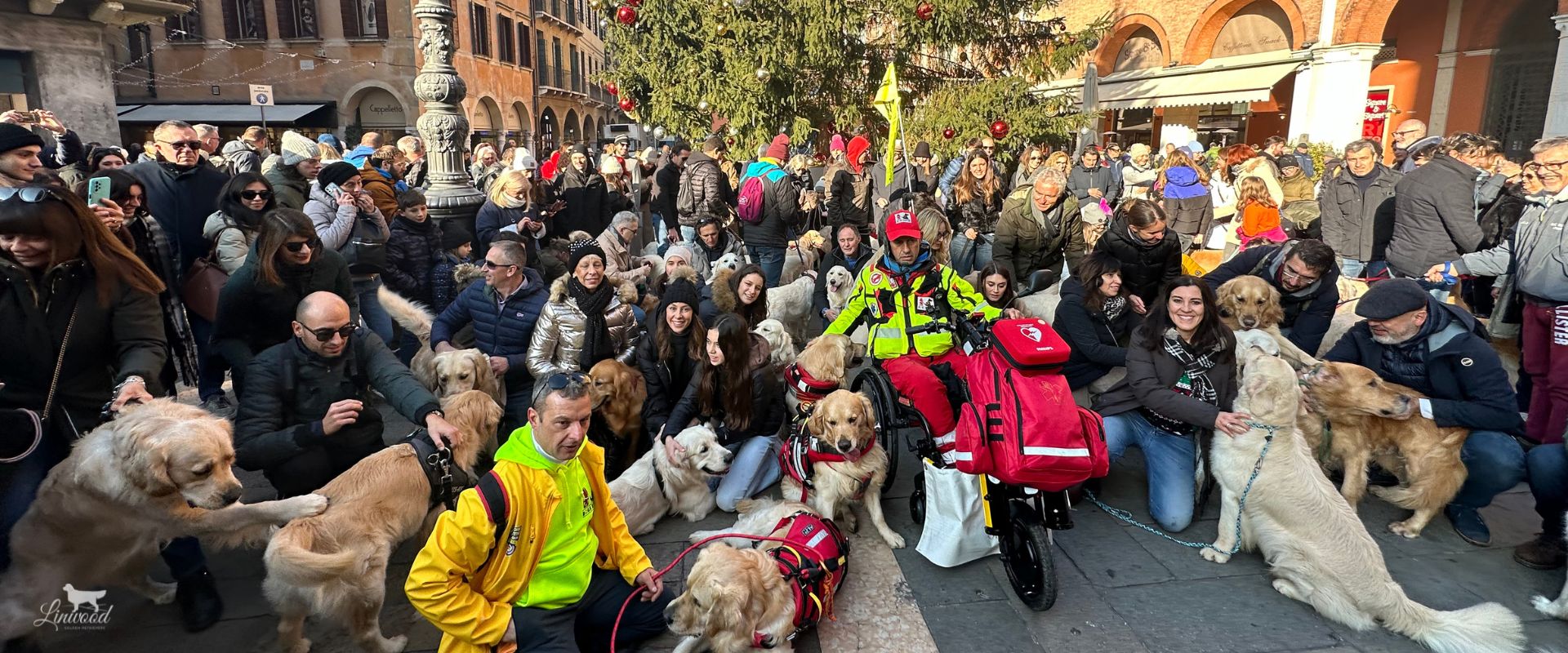 Linwood Golden Retrievers_Eventi_RadunoNatale2023_Header Linwood Golden Retrievers Eventi RadunoNatale2023 Header