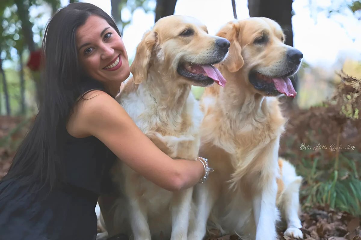 Linwood Golden Retrievers_IntroSezione_PresentDog Linwood Golden Retrievers IntroSezione PresentDog