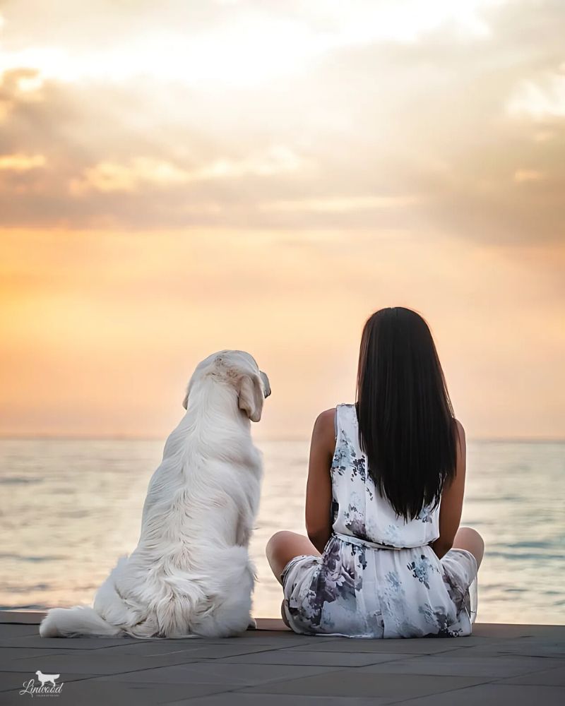 Linwood Golden Retrievers_ilGolden_IntroSezione-ConsiderazioniPerAdozione Linwood Golden Retriever Alessandra con cucciolo