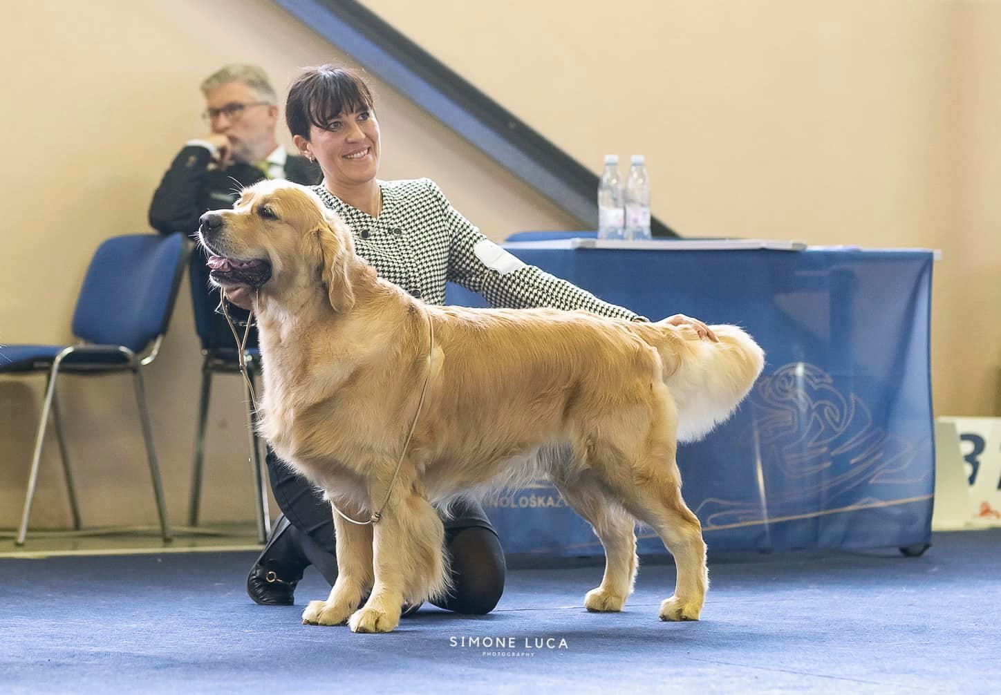 Linwood Golden Retrievers_Risultati_Slovenia2024_ImgIntro Linwood Golden Retrievers Risultati Slovenia2024 ImgIntro