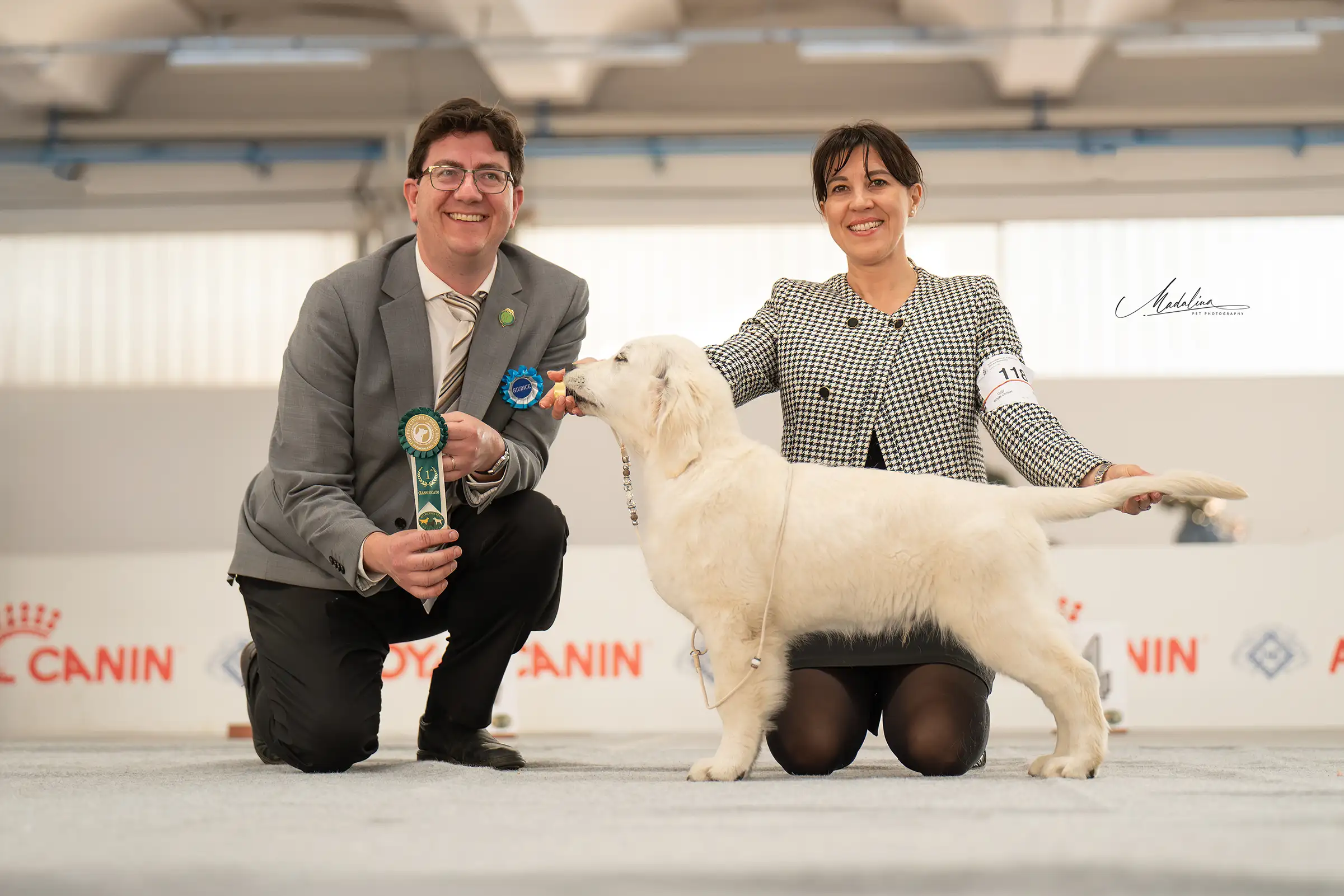 LinwoodGoldenRetrievers_News-Risultati-RadunoAllRetrievers-2025 - img1 LinwoodGoldenRetrievers News Risultati RadunoAllRetrievers 2025 img1