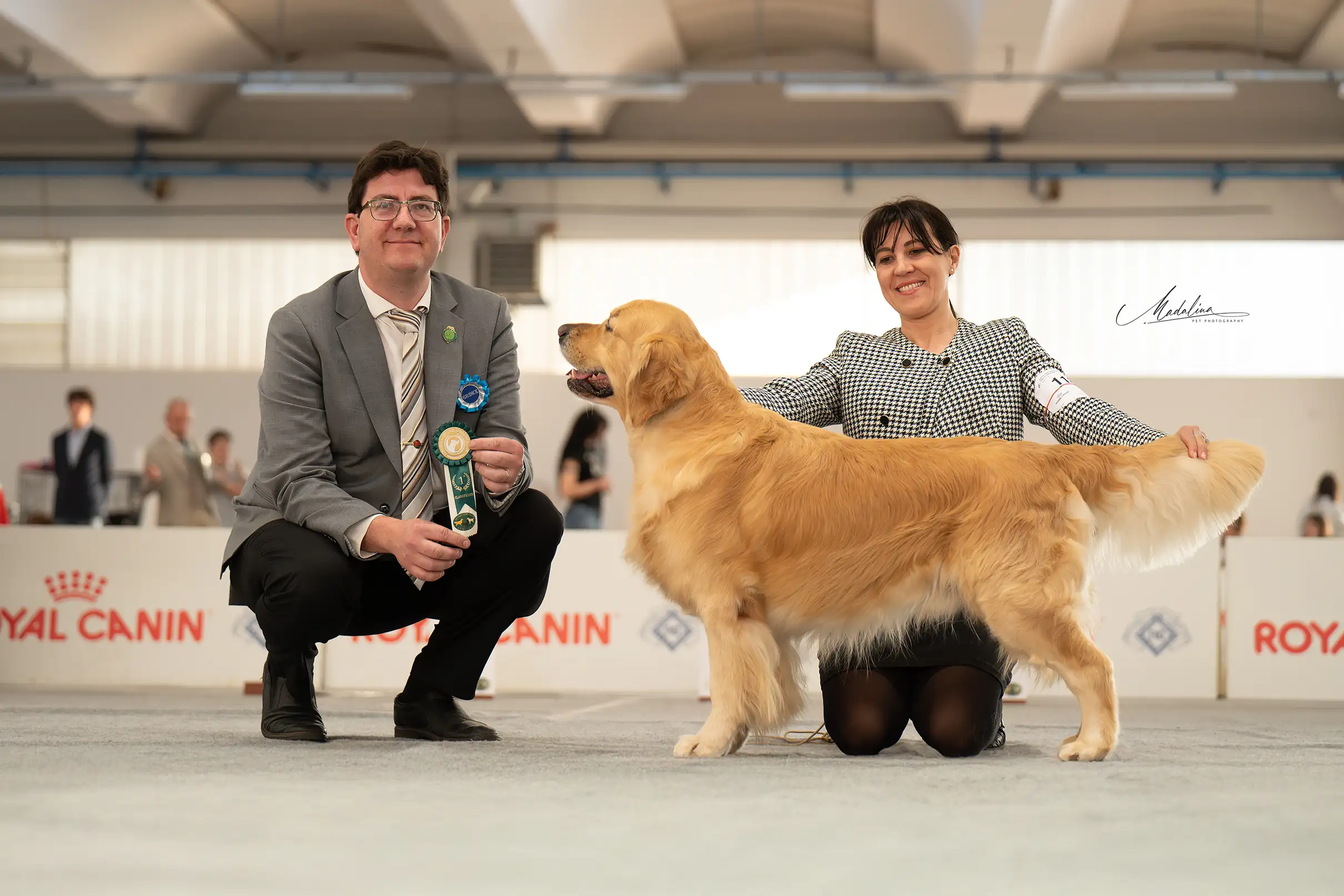 LinwoodGoldenRetrievers_News-Risultati-RadunoAllRetrievers-2025 - img2 LinwoodGoldenRetrievers News Risultati RadunoAllRetrievers 2025 img2