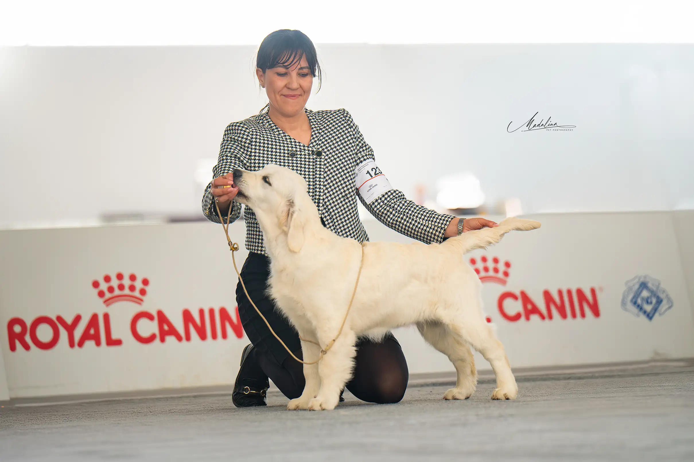 LinwoodGoldenRetrievers_News-Risultati-RadunoAllRetrievers-2025 - img3 LinwoodGoldenRetrievers News Risultati RadunoAllRetrievers 2025 img3