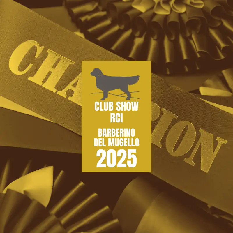 LinwoodGoldenRetrievers News Risultati RCI Club Show di Barberino del Mugello 2025 imganteprima