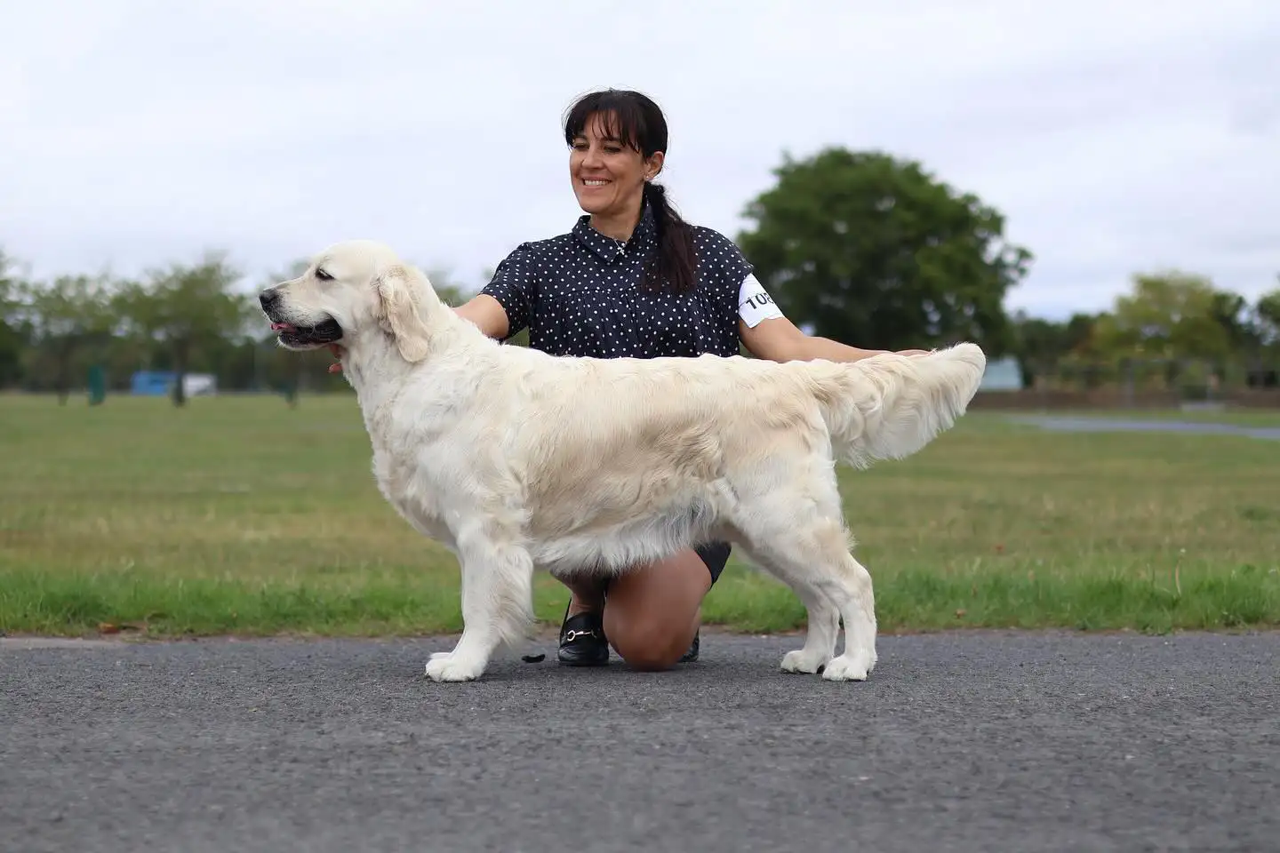 LinwoodGoldenRetrievers_News-Risultati-Paignton & District Fanciers Association Championship Show - 01 Annabelle trionfa al United Retriever Club Show 2025