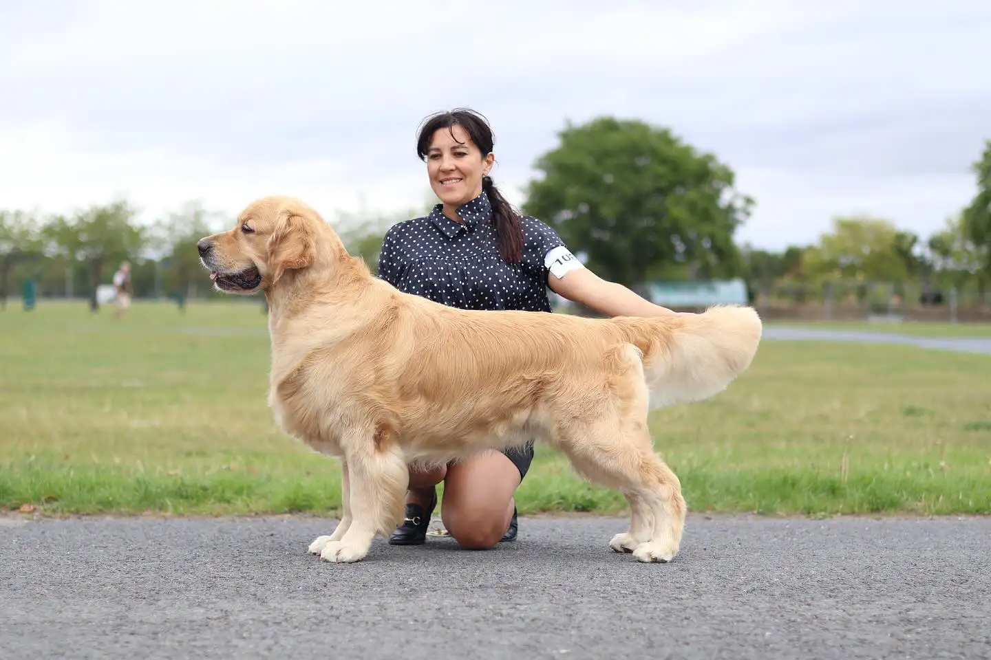 LinwoodGoldenRetrievers_News-Risultati-Paignton & District Fanciers Association Championship Show - 04 Annabelle trionfa al United Retriever Club Show 2025
