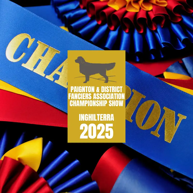 Paignton Championship Show 2025