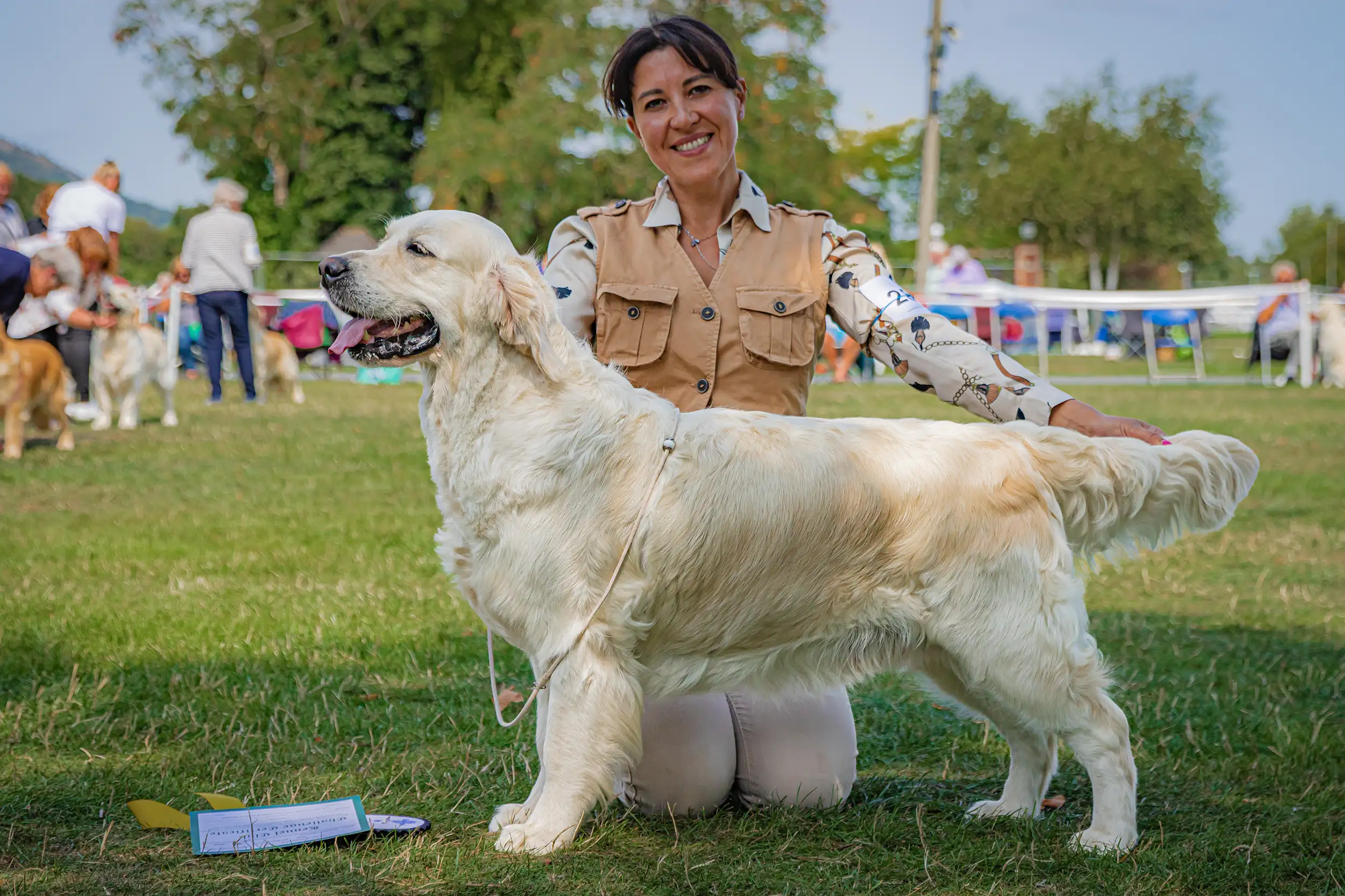 LinwoodGoldenRetrievers_News-Risultati-UnitedRetrieverClubShow-02 Annabelle trionfa al United Retriever Club Show 2025