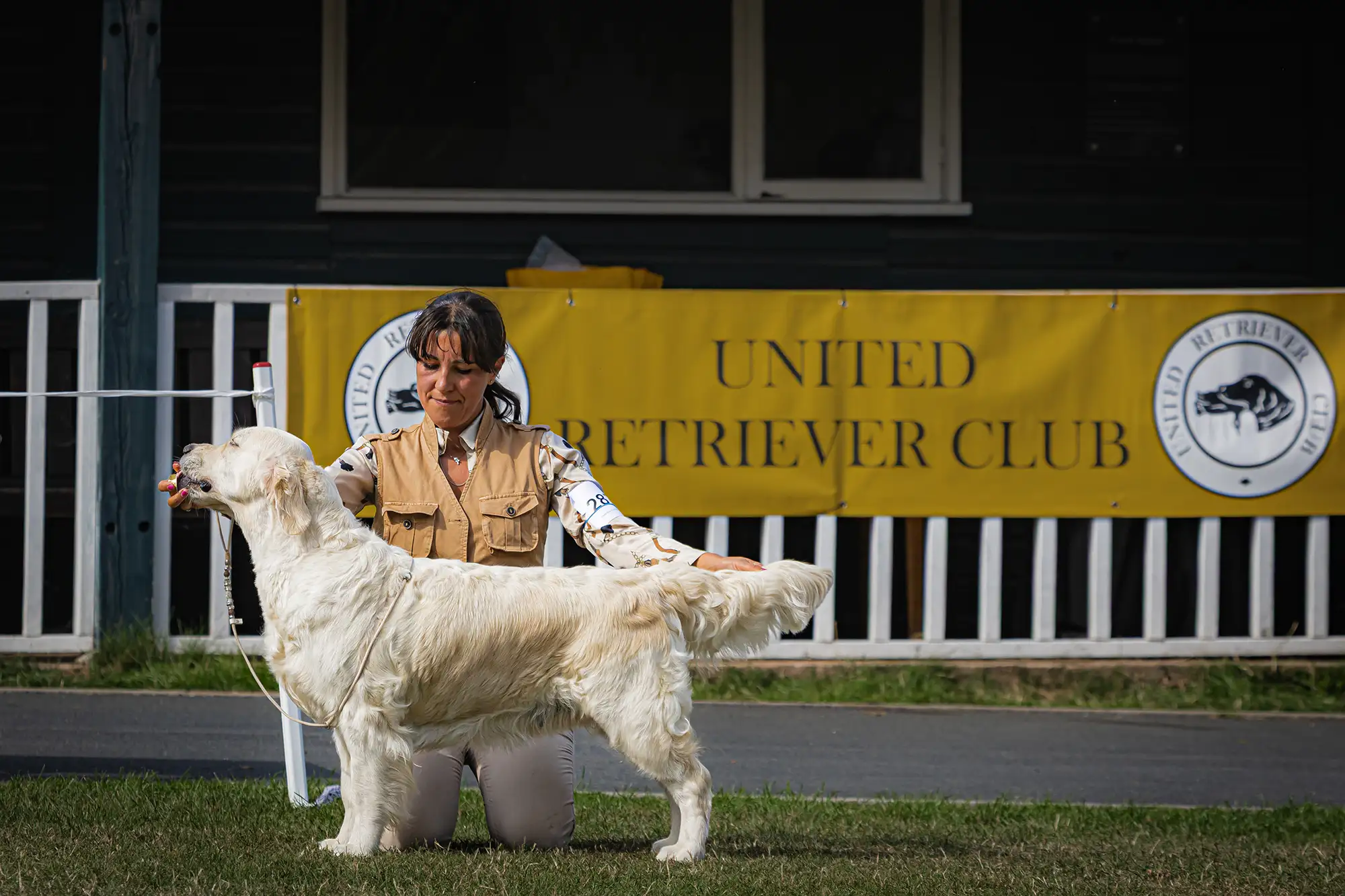 LinwoodGoldenRetrievers_News-Risultati-UnitedRetrieverClubShow-03 Annabelle trionfa al United Retriever Club Show 2025