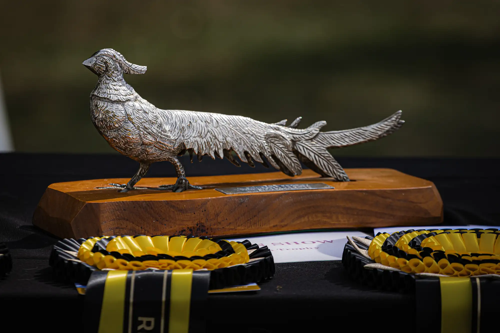 LinwoodGoldenRetrievers_News-Risultati-UnitedRetrieverClubShow-04 Golden Retriever campione Inghilterra - Lonwood Hypnotizer