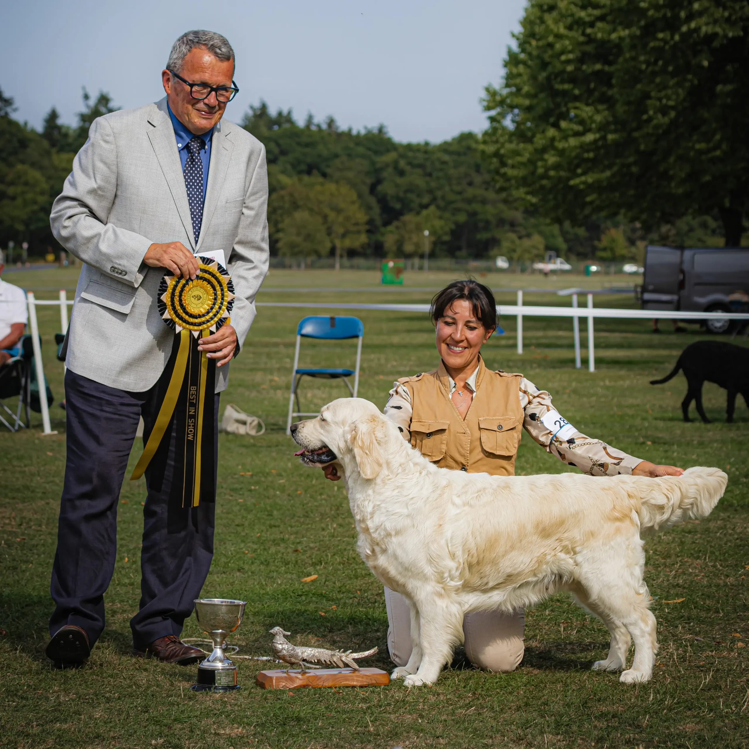 LinwoodGoldenRetrievers_News-Risultati-UnitedRetrieverClubShow-10 Annabelle trionfa al United Retriever Club Show 2025