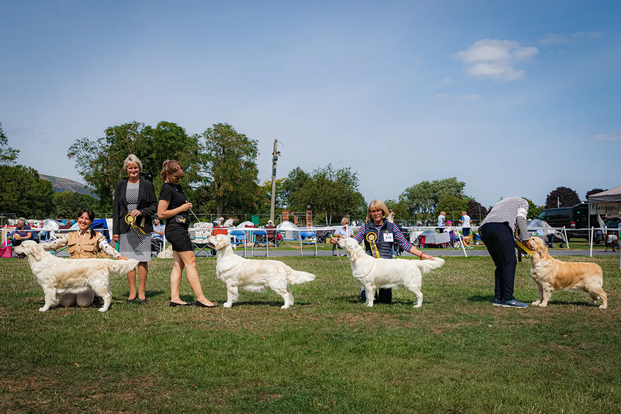 LinwoodGoldenRetrievers_News-Risultati-UnitedRetrieverClubShow-11 Annabelle trionfa al United Retriever Club Show 2025
