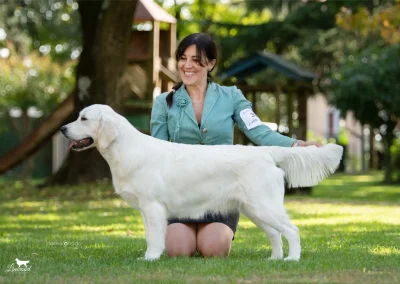 Linwood Golden Retriever Linwood High Snobiety Giselle Anteprima2026