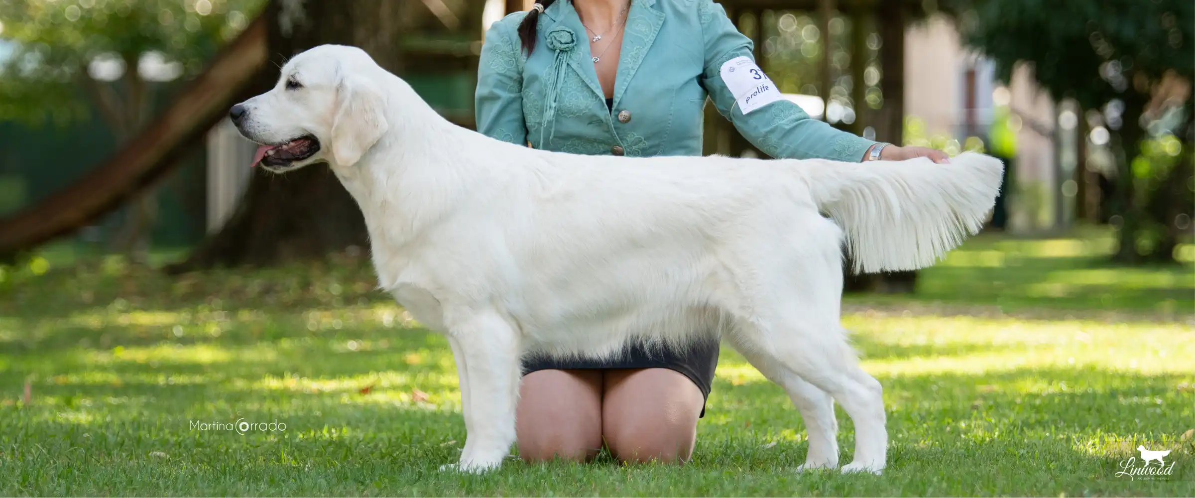 Linwood Golden Retriever_Linwood High Snobiety - Giselle - Header2026 Linwood Highsnobiety
